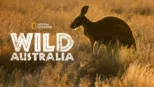 thumbnail - Wild Australia