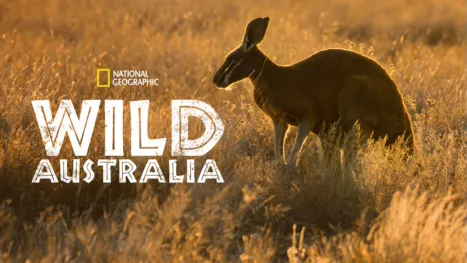 thumbnail - Wild Australia