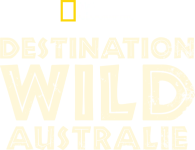 Wild Australia