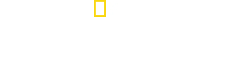 Přežili druhou světovou válku