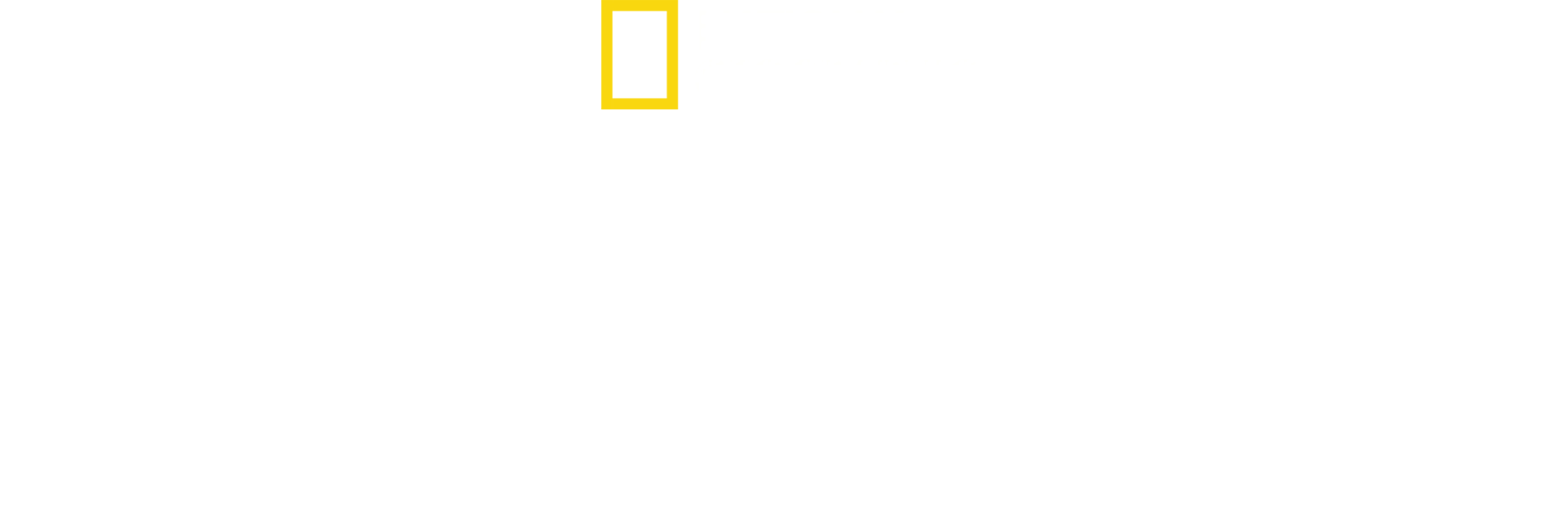 Přežili druhou světovou válku