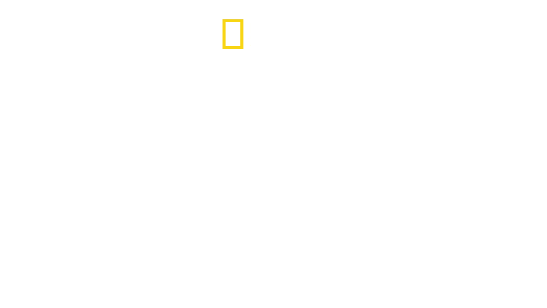 Ekstrem overlevelse: 2. verdenskrig