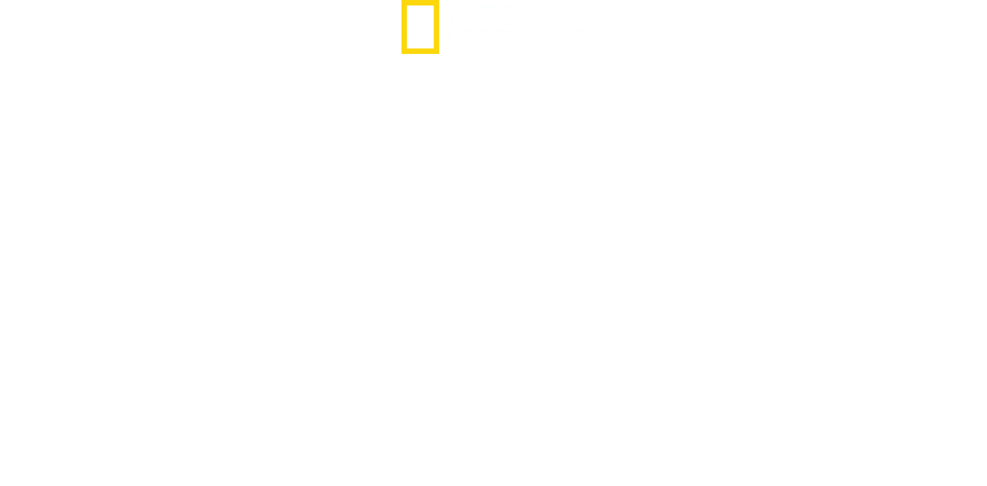 Ekstrem overlevelse: 2. verdenskrig