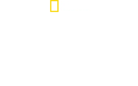 II. világháború: A vadon túlélői