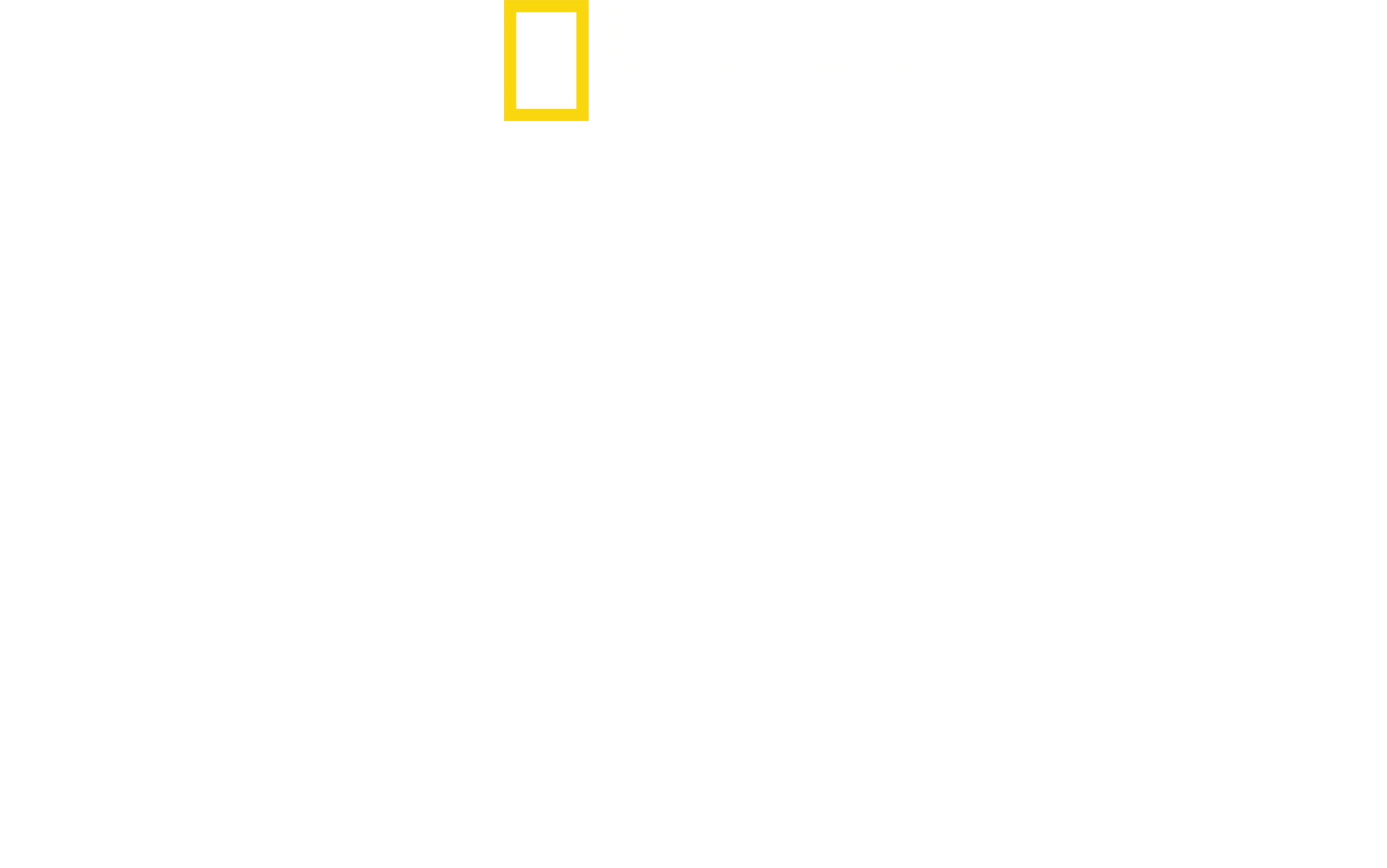 II. világháború: A vadon túlélői