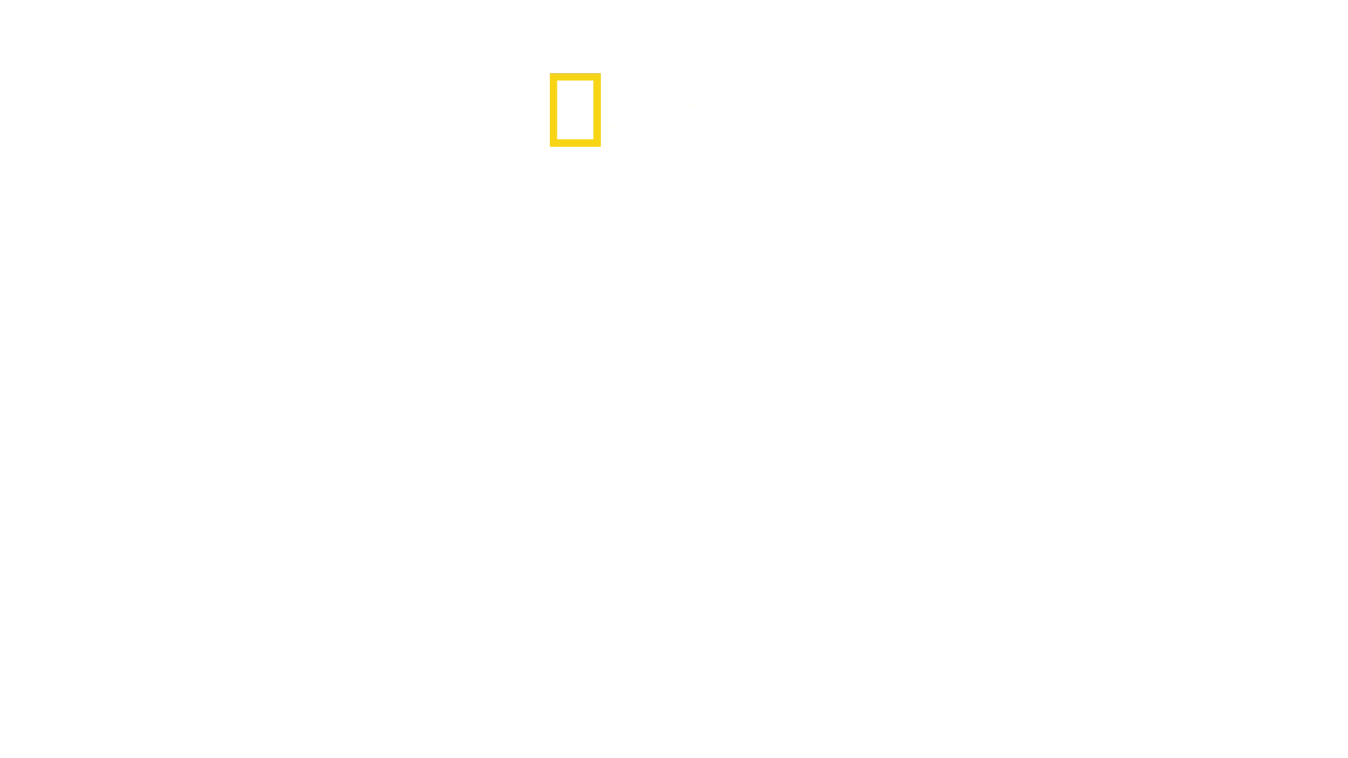 Supervivencia en la II GM