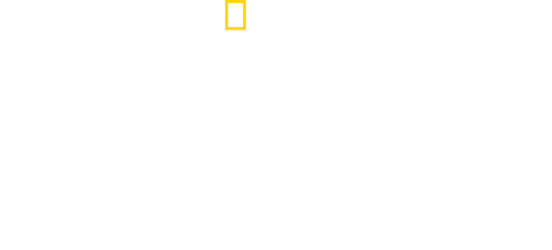 Supervivencia en la II GM