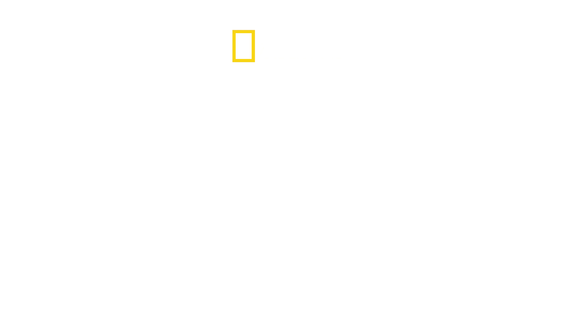 Seconde Guerre mondiale : Héros de la survie