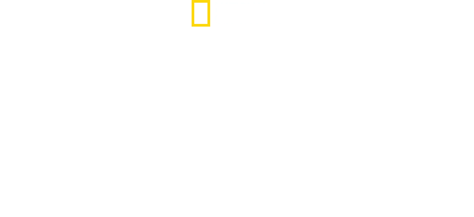 Seconde Guerre mondiale : Héros de la survie