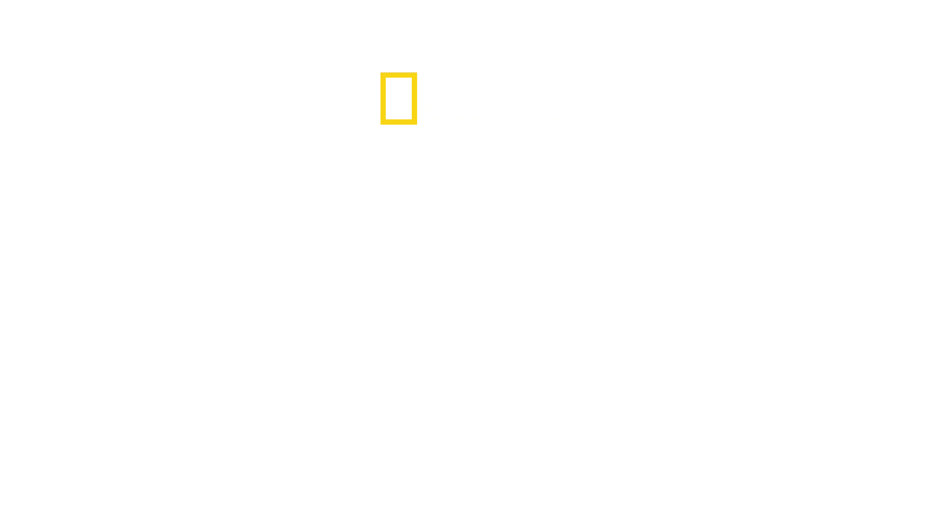 Seconda guerra: sopravvivenza estrema