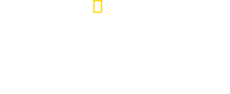 Seconda guerra: sopravvivenza estrema