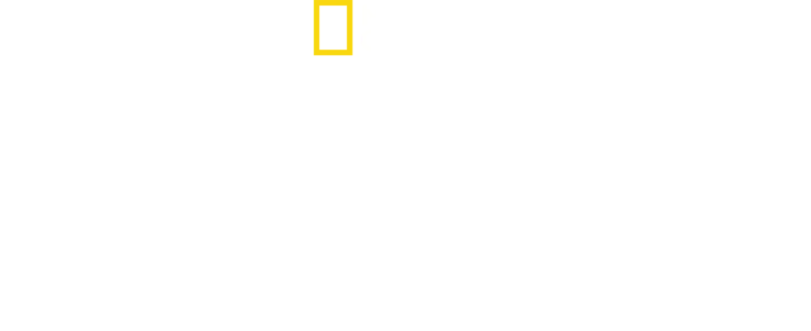 Supraviețuitor în Al Doilea Război Mondial
