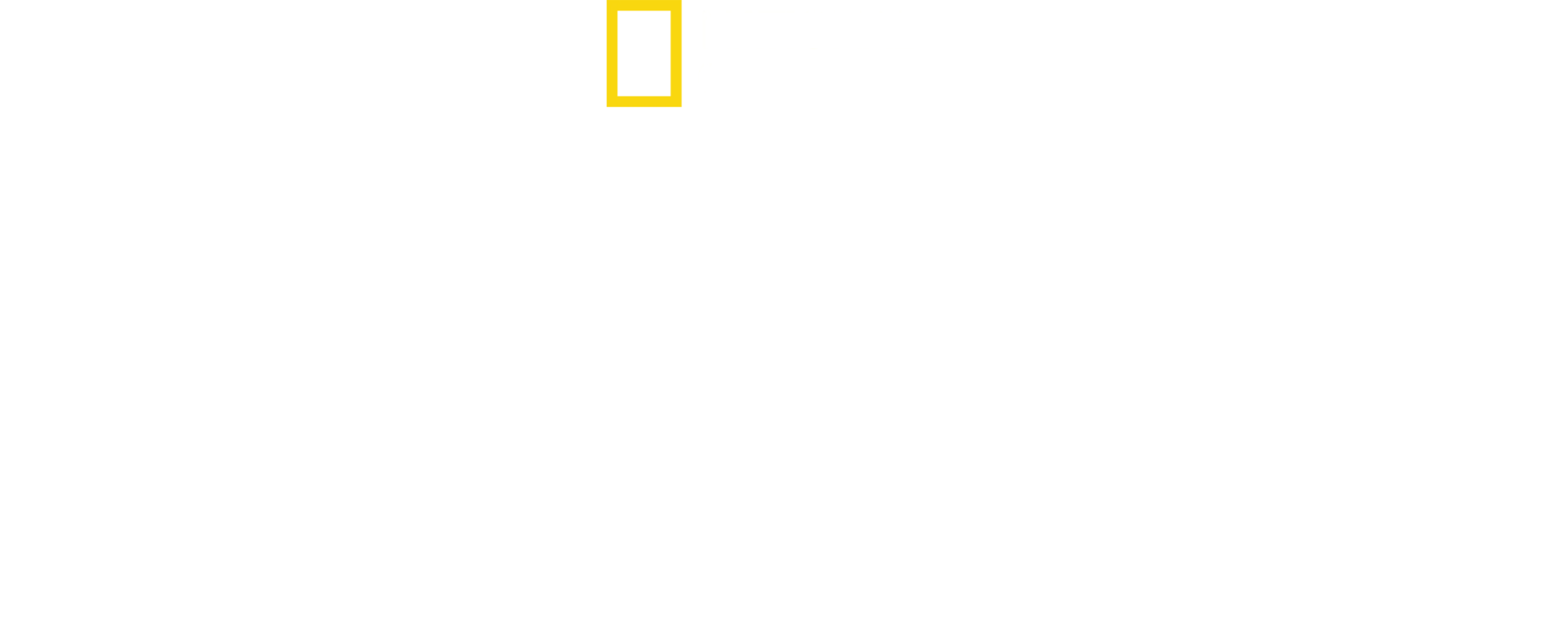 Supraviețuitor în Al Doilea Război Mondial