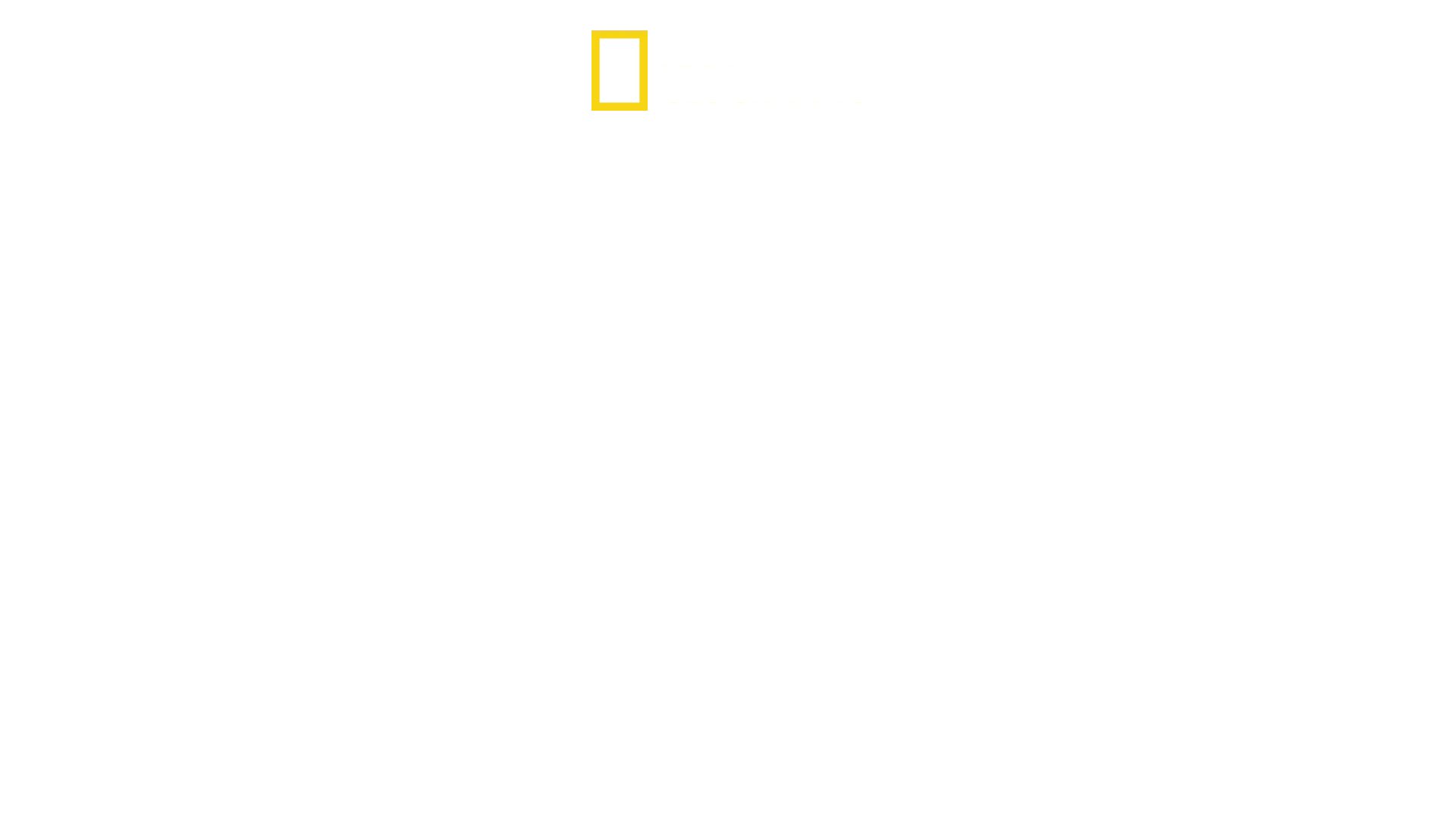 Expedition överlevnad: Andra världskriget