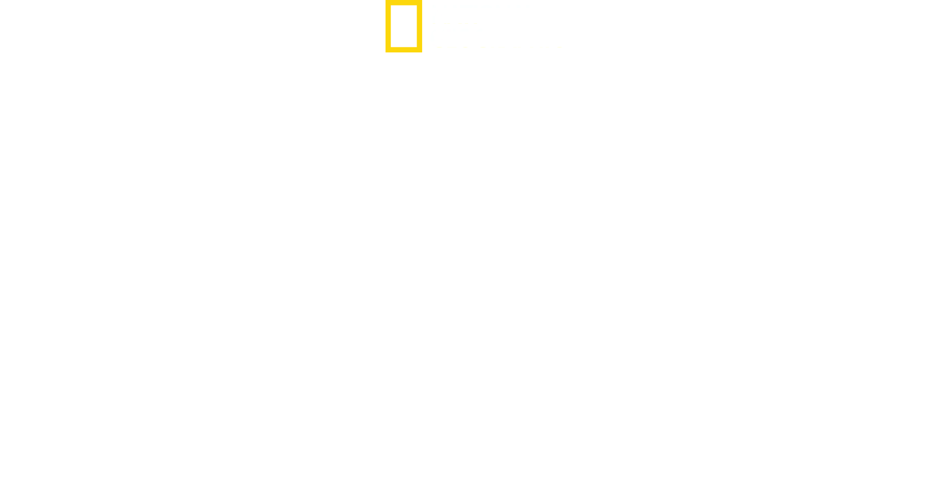 Expedition överlevnad: Andra världskriget