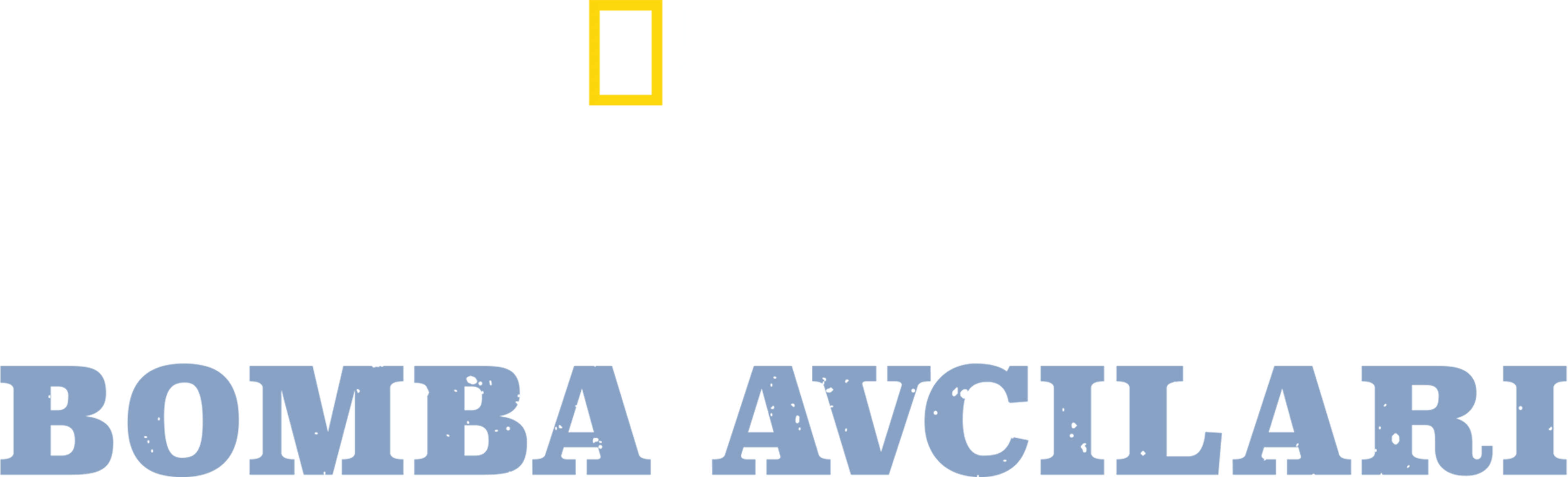 İkinci Dünya Savaşı Bomba Avcıları