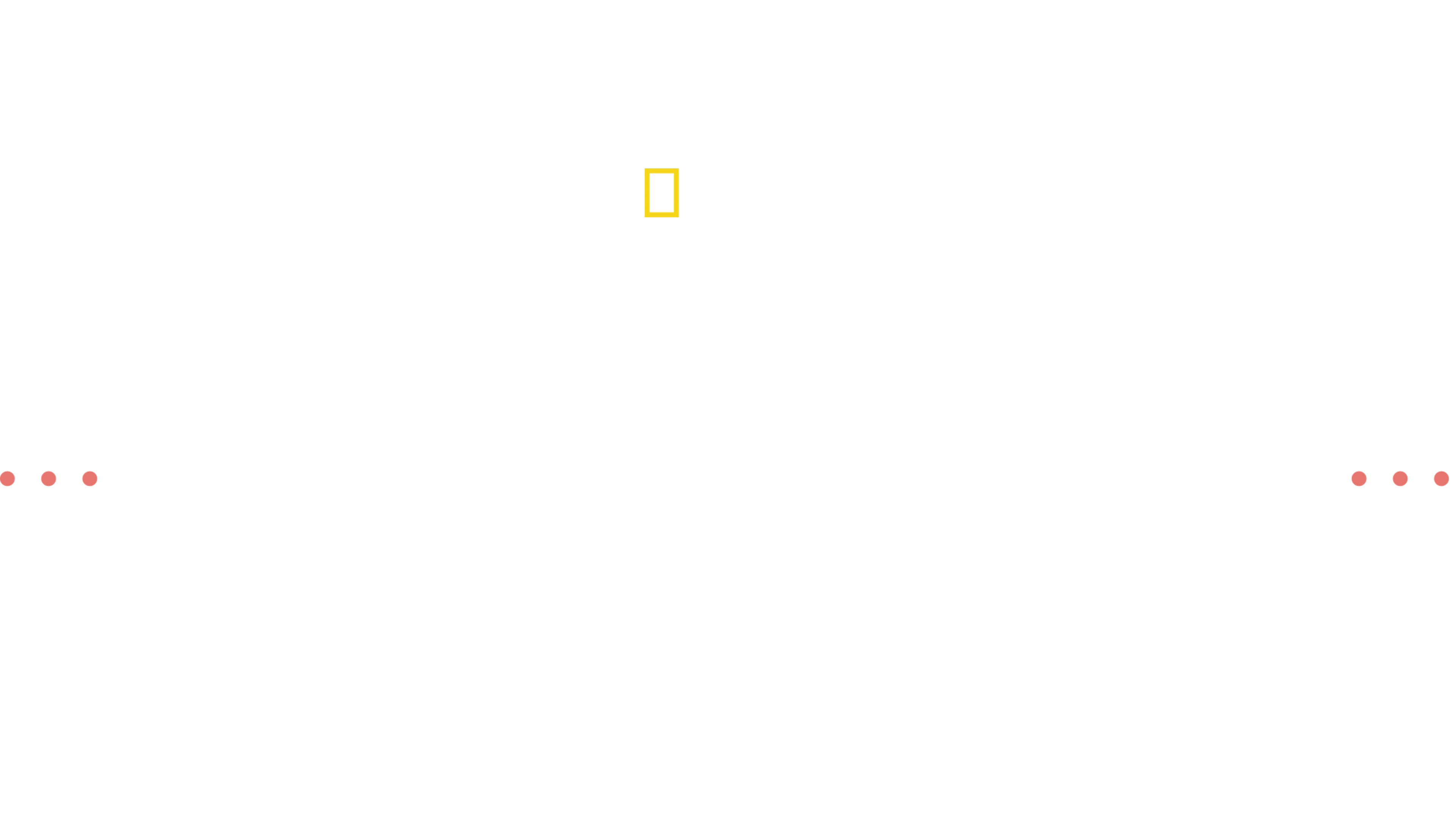 Dermatología veterinaria con la Dra. Joya
