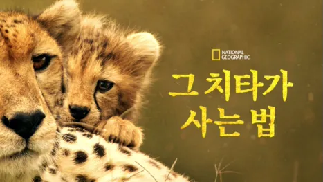 thumbnail - 그 치타가 사는 법