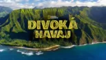 thumbnail - Divoká Havaj
