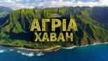 thumbnail - Άγρια Χαβάη