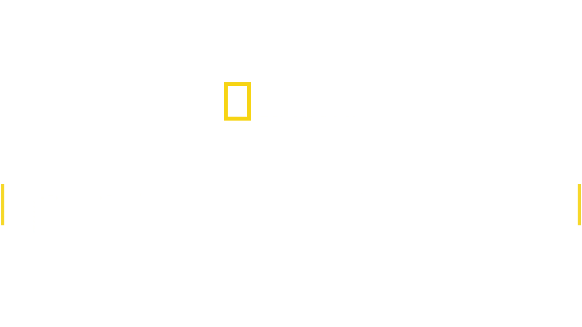 Il Cacciatore Di Dinosauri