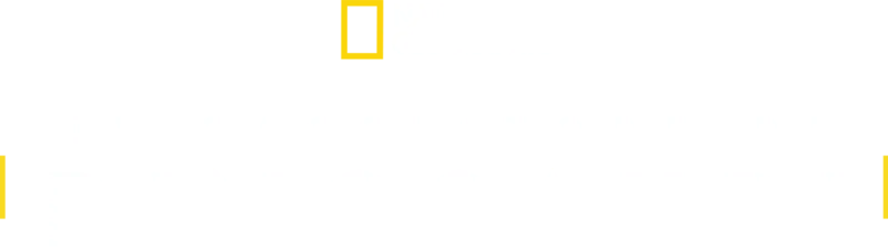 Il Cacciatore Di Dinosauri