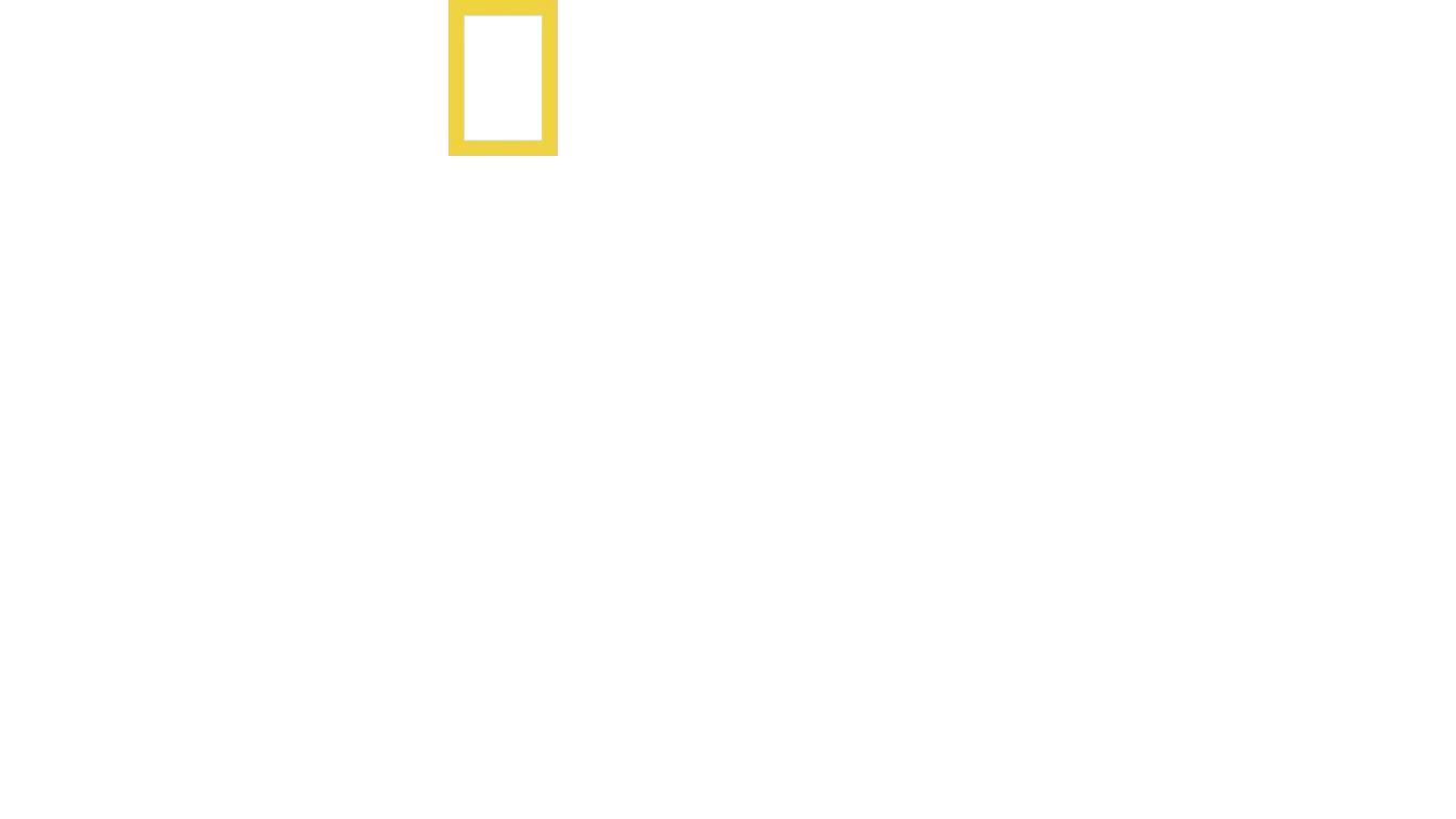 Im Reich der Präriehunde