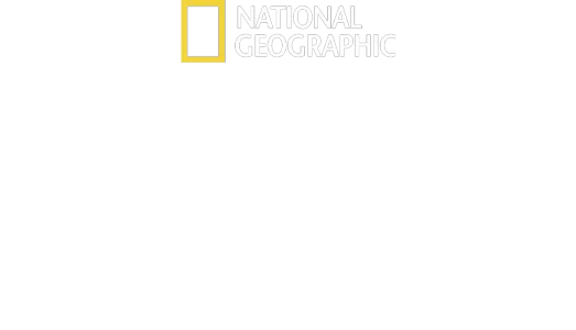 Im Reich der Präriehunde