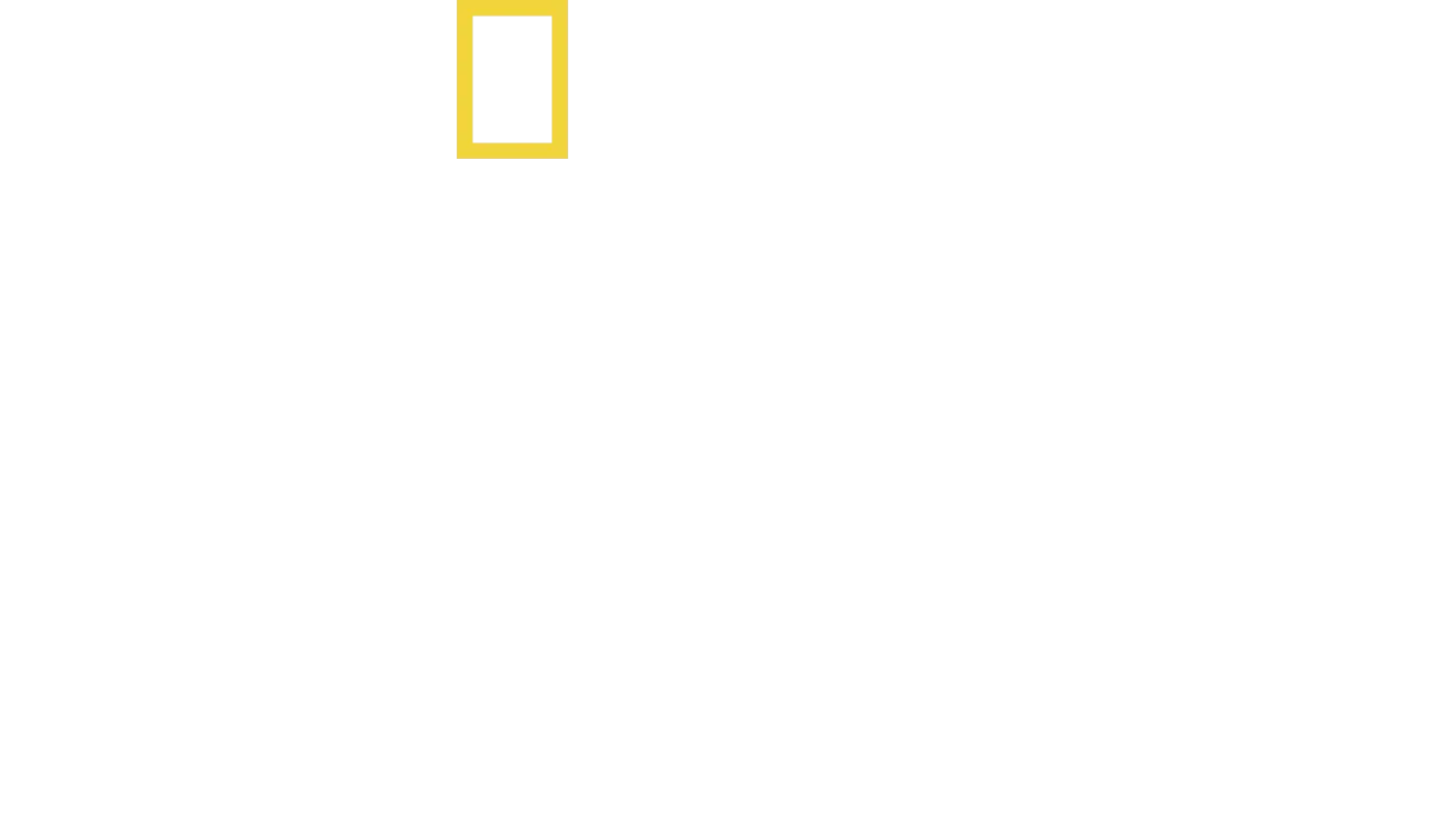 Im Reich der Präriehunde