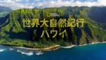 thumbnail - 世界大自然紀行：ハワイ