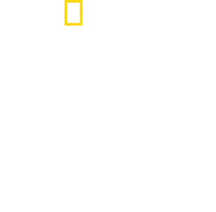 Jednotky SS