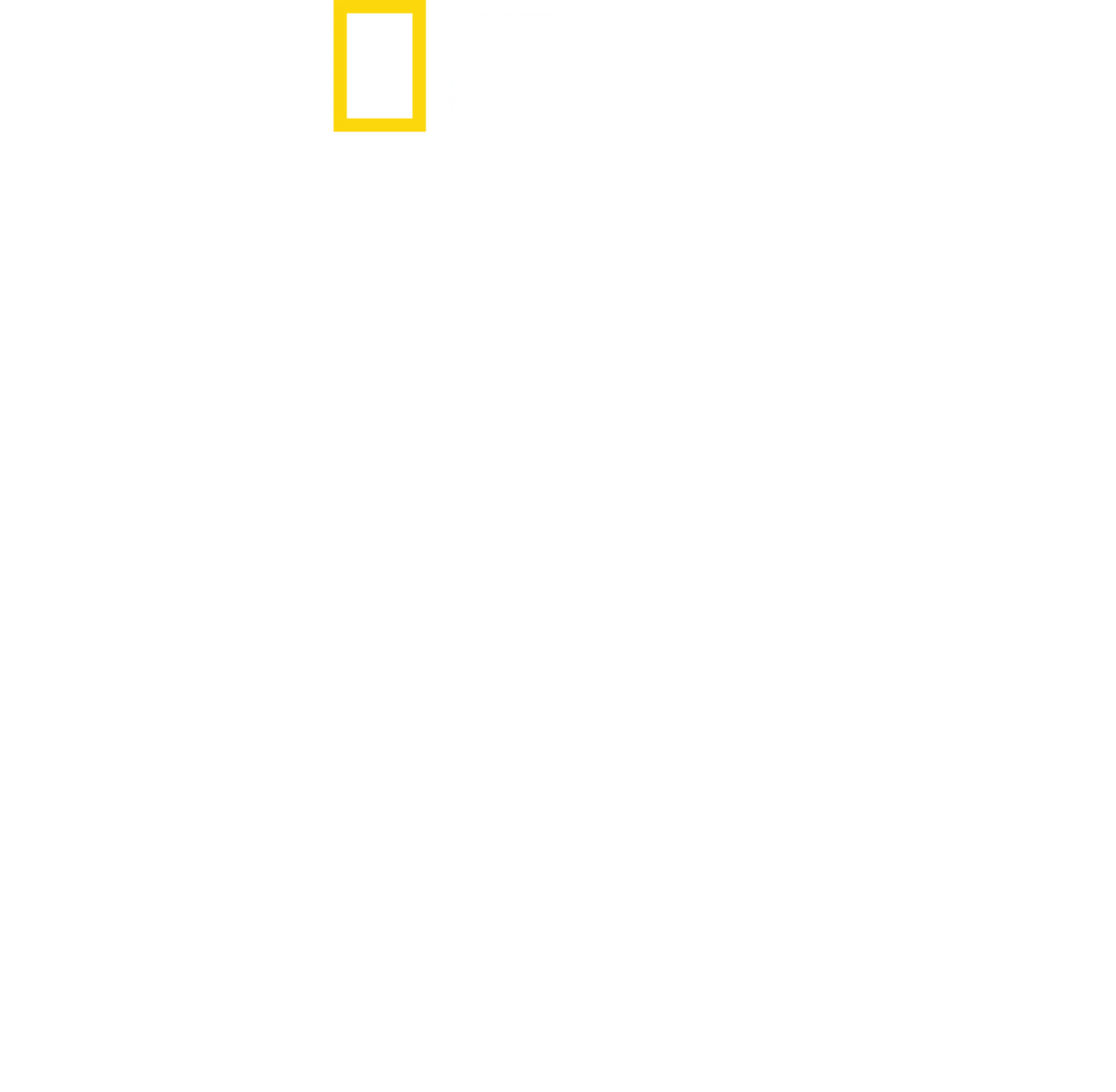 Jednotky SS