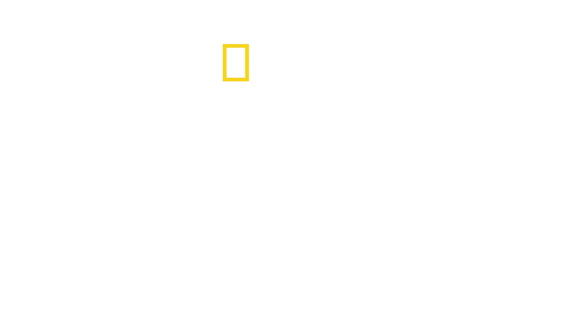 La dynastie des chiens de prairie
