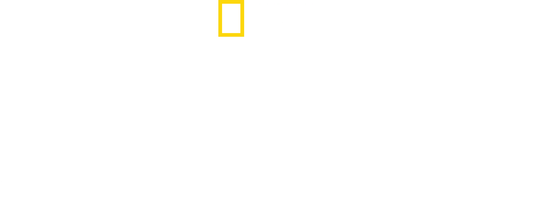 La dynastie des chiens de prairie