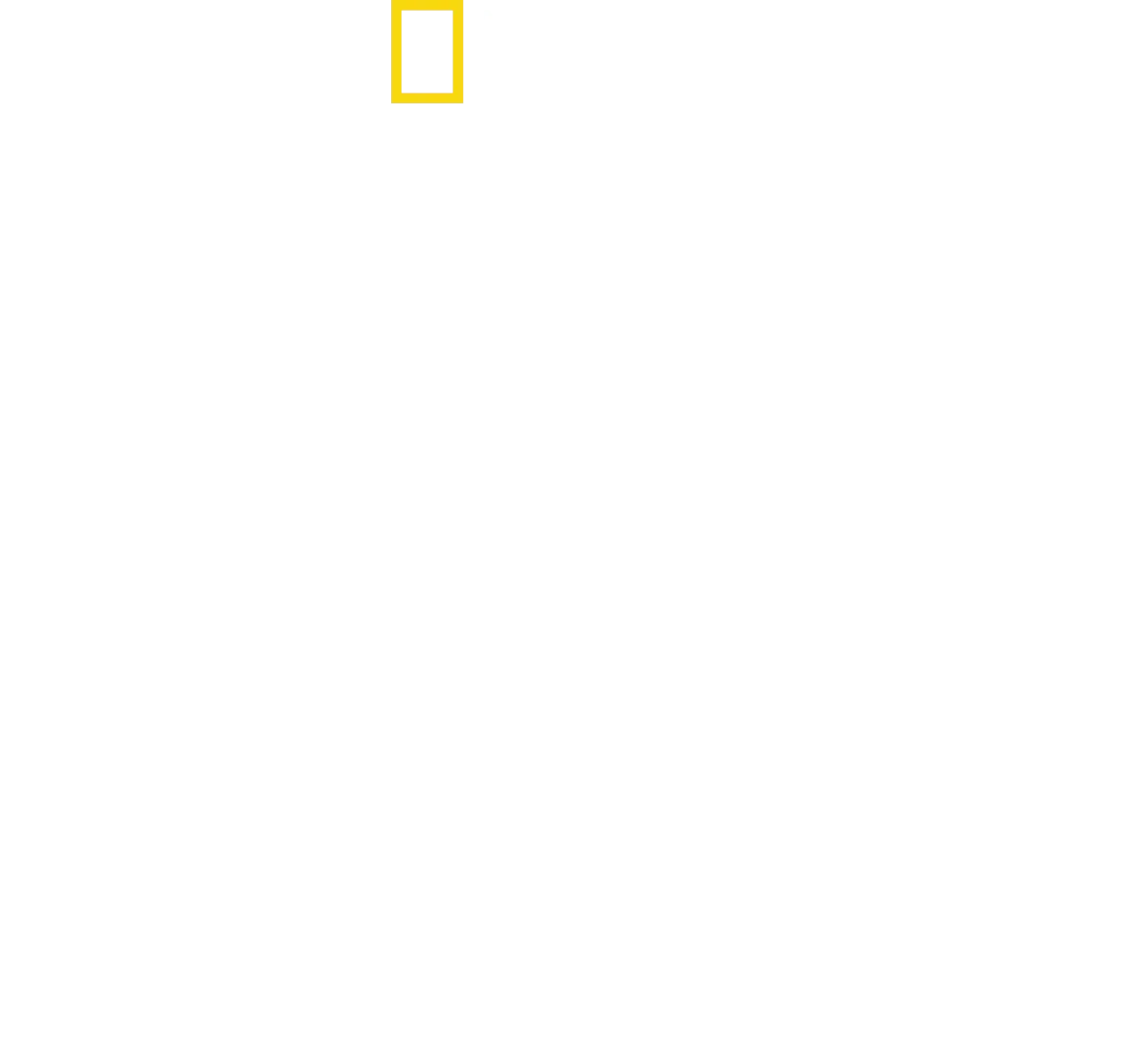 Inside the SS
