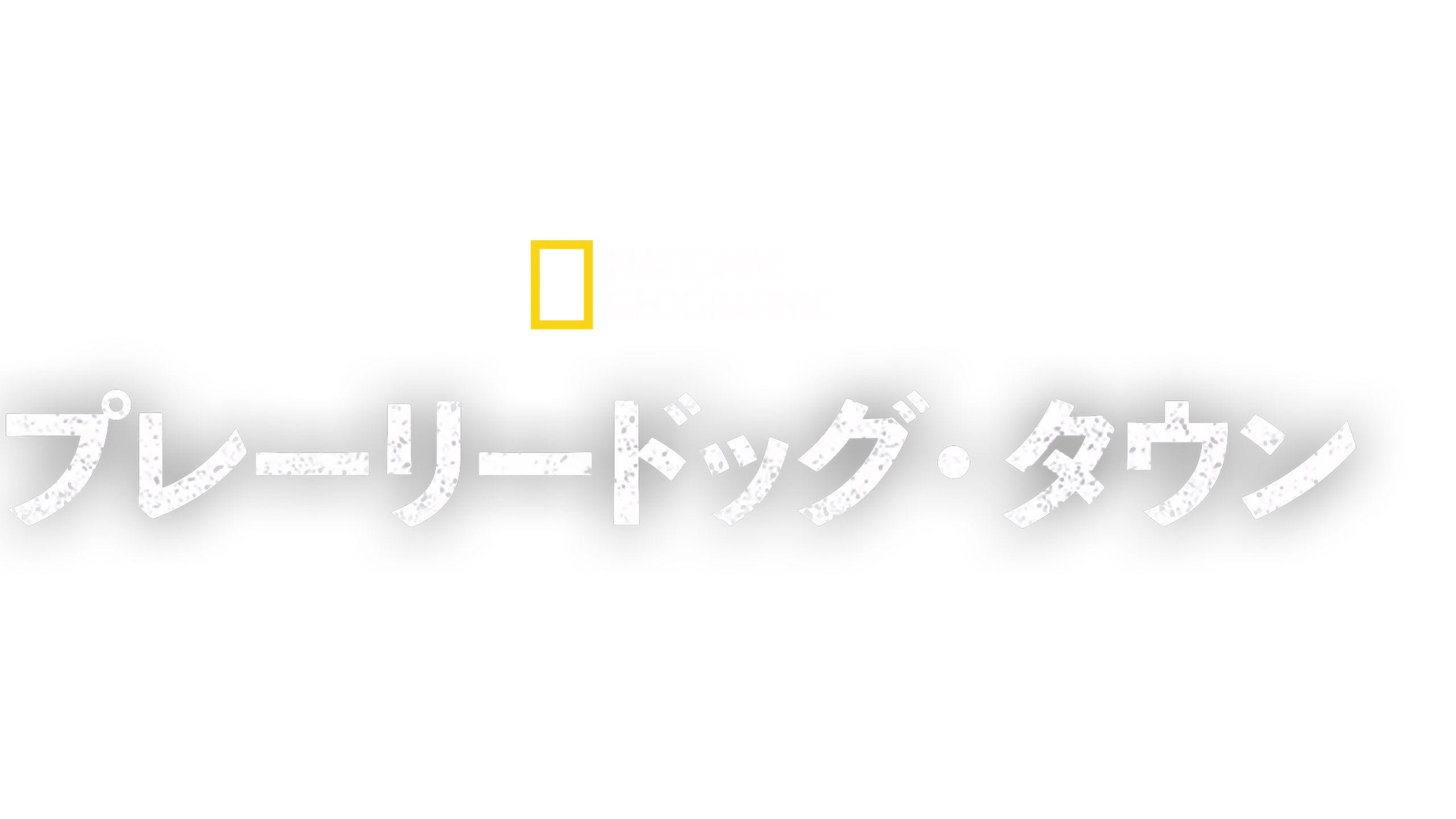 プレーリードッグ・タウン