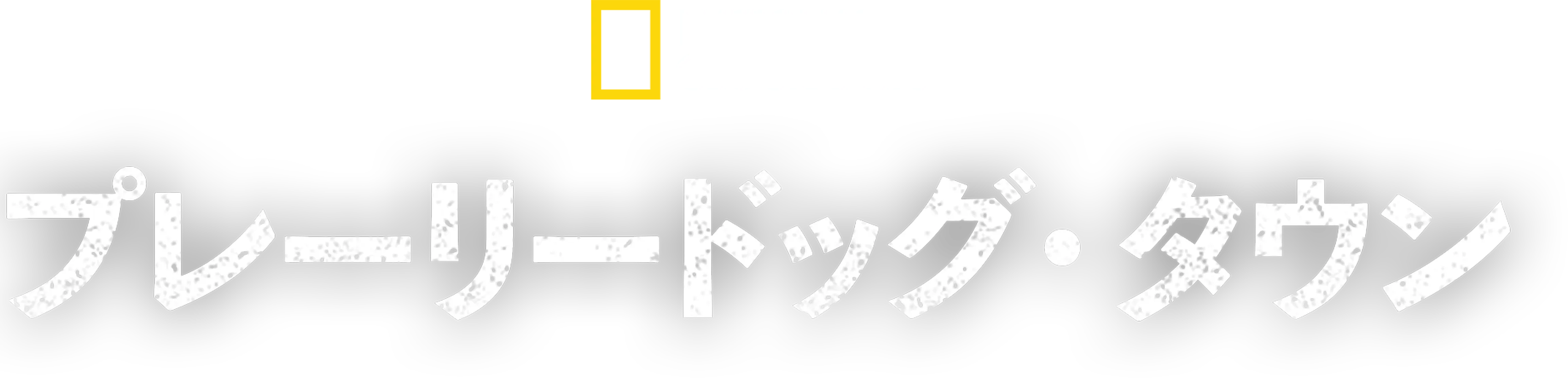 プレーリードッグ・タウン