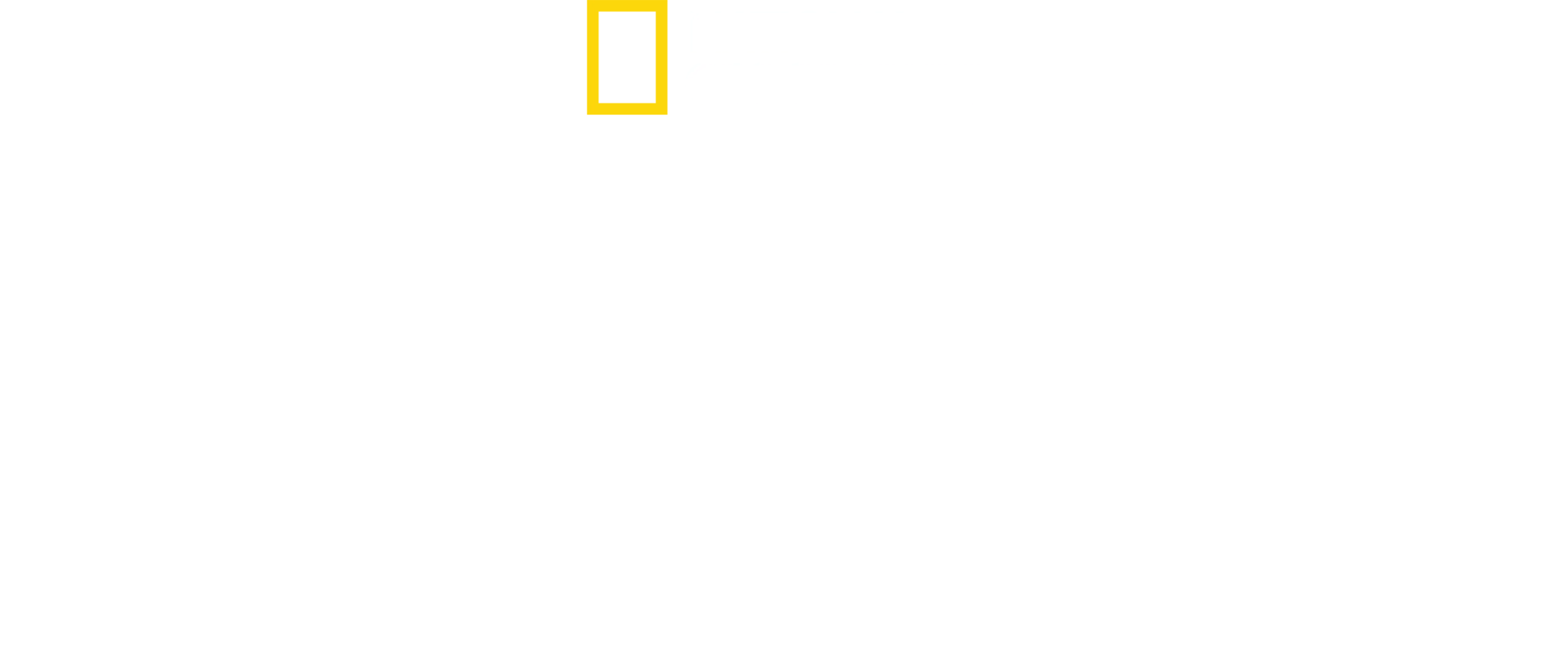Mordercze państwo Hitlera