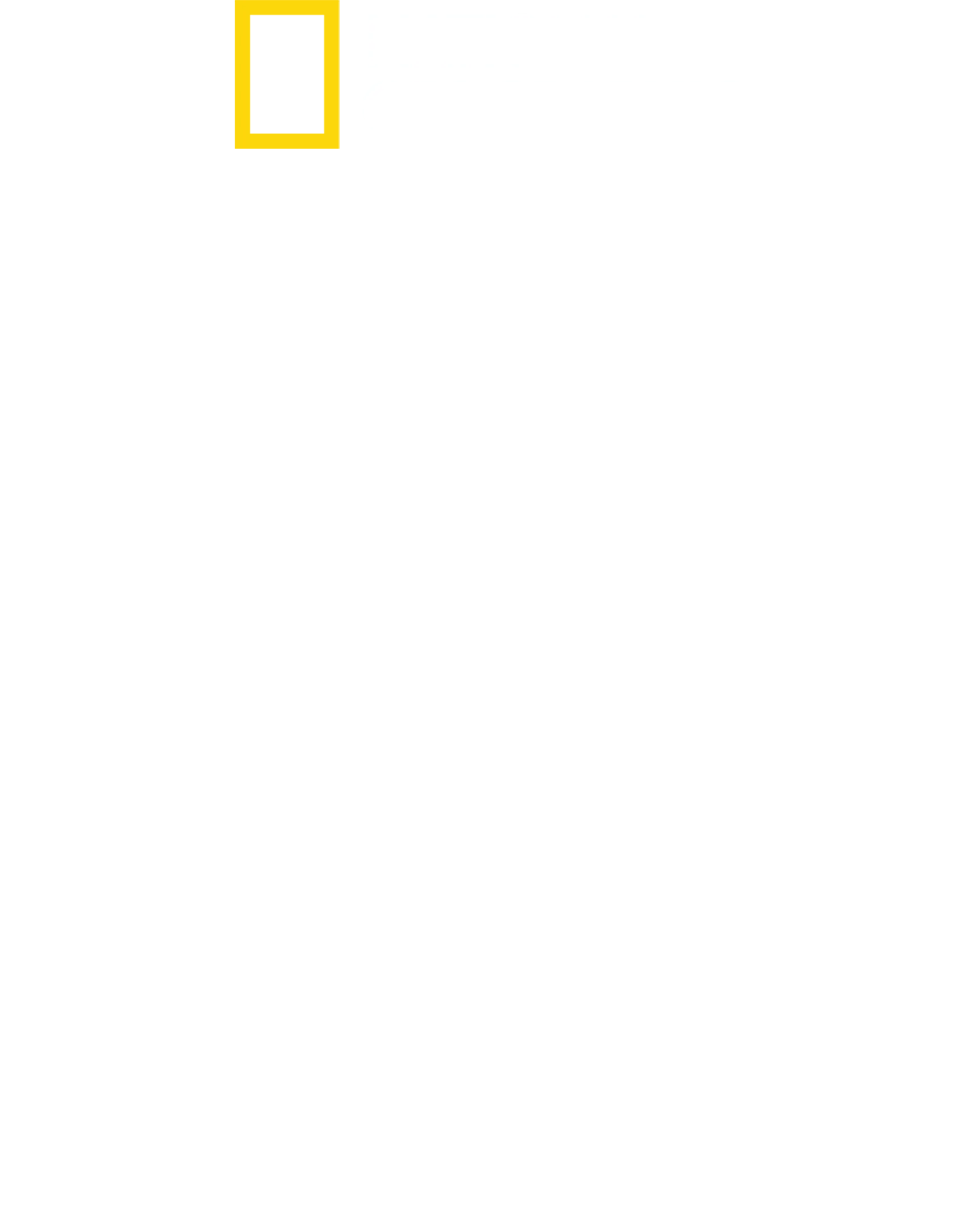Nazilerin Gizli Dünyası
