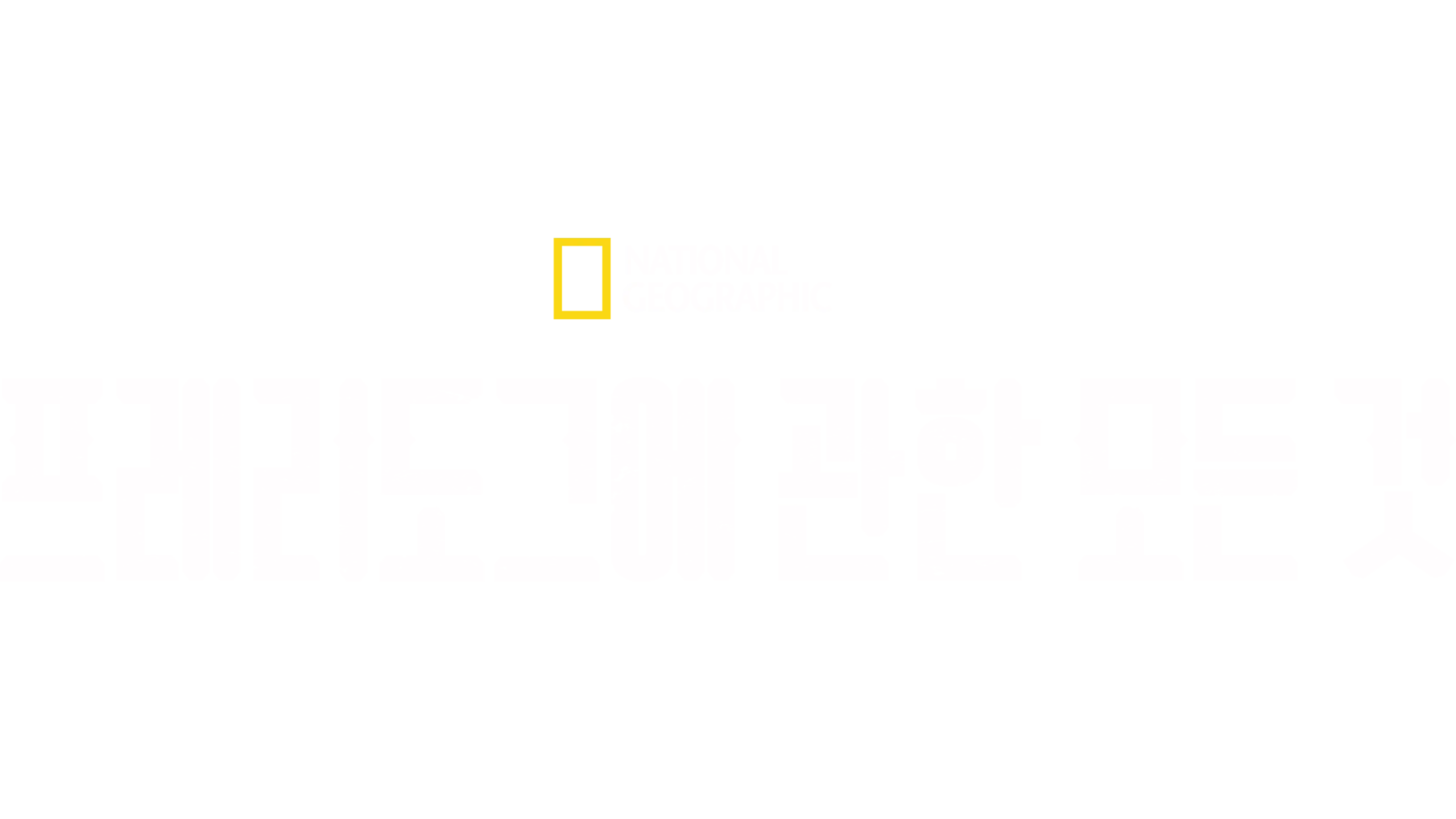 프레리도그에 관한 모든 것