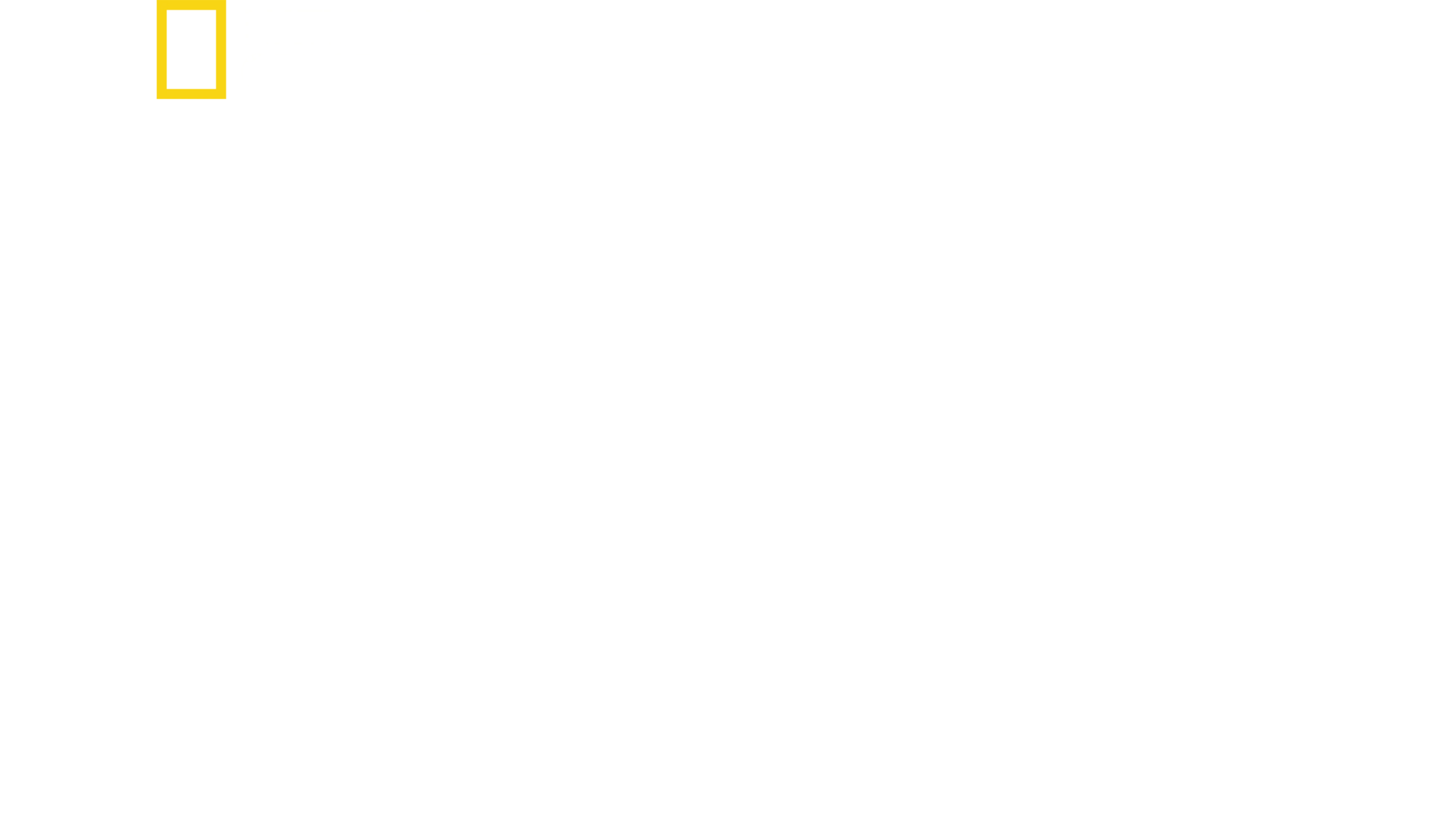 Nazilerin Gizli Dünyası