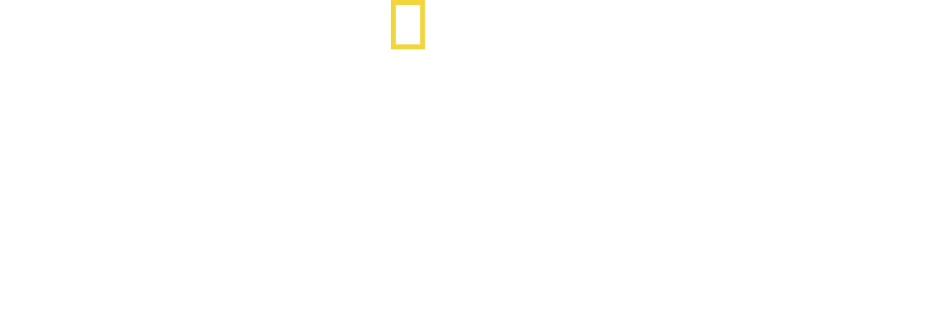 O Fantástico Mundo do Cão-da-Pradaria