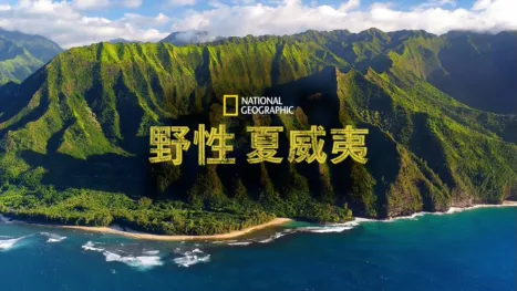 thumbnail - 野性夏威夷