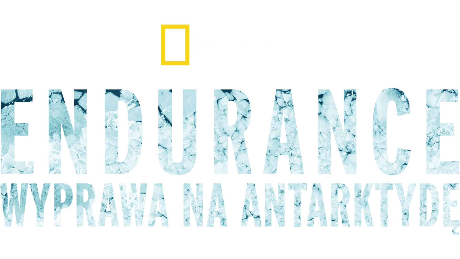 Endurance: wyprawa na Antarktydę