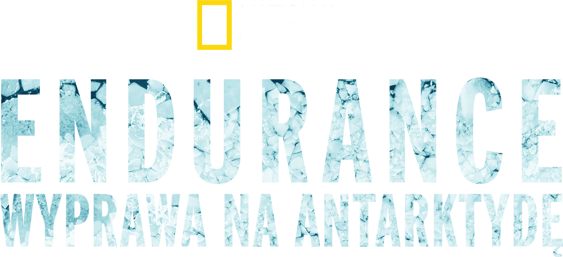 Endurance: wyprawa na Antarktydę