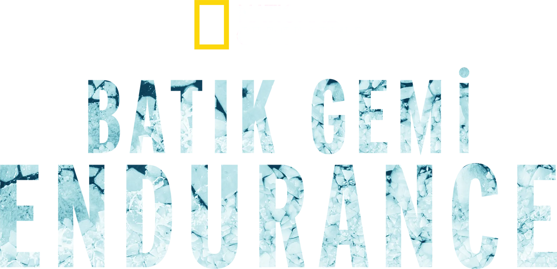 Batık Gemi Endurance