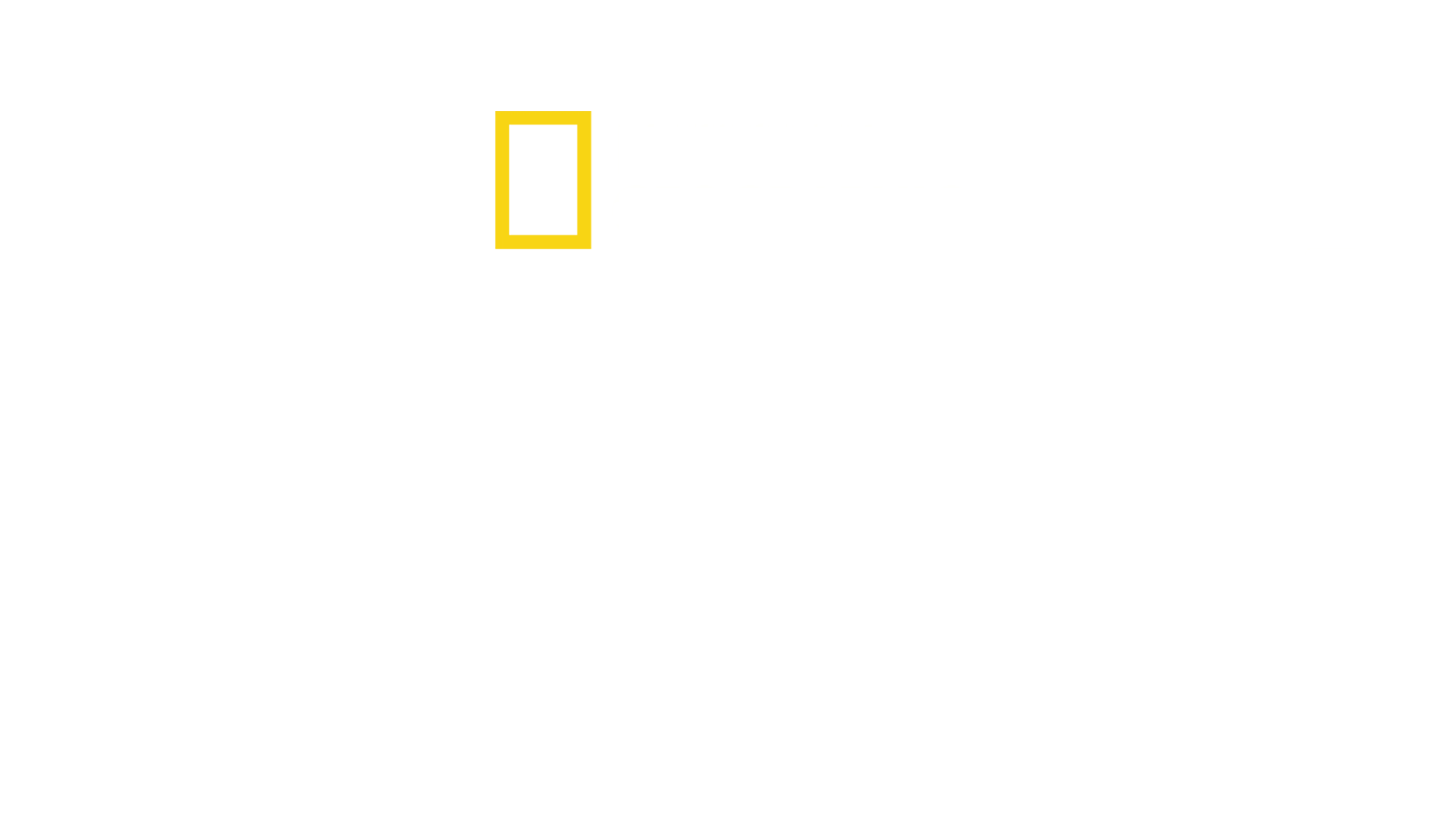 Nacistické megastavby