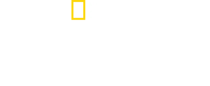 Nacistické megastavby