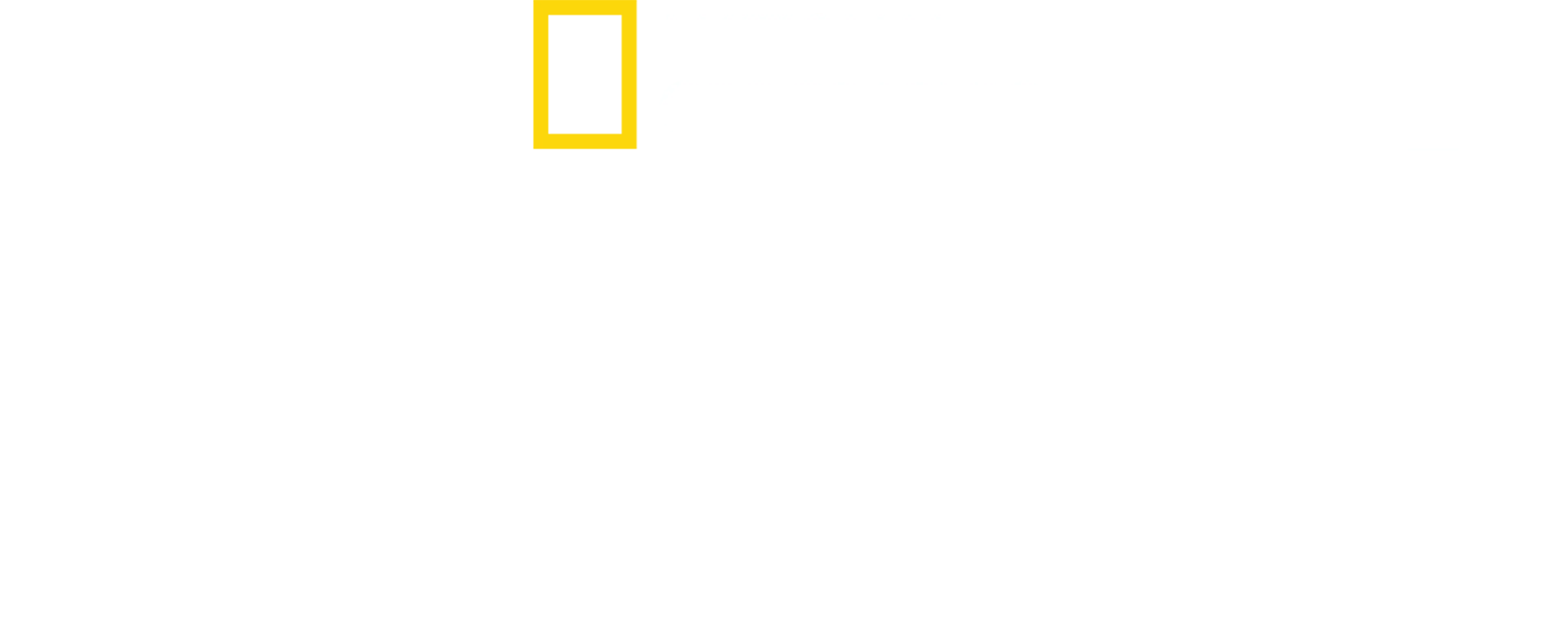 Nacistické megastavby