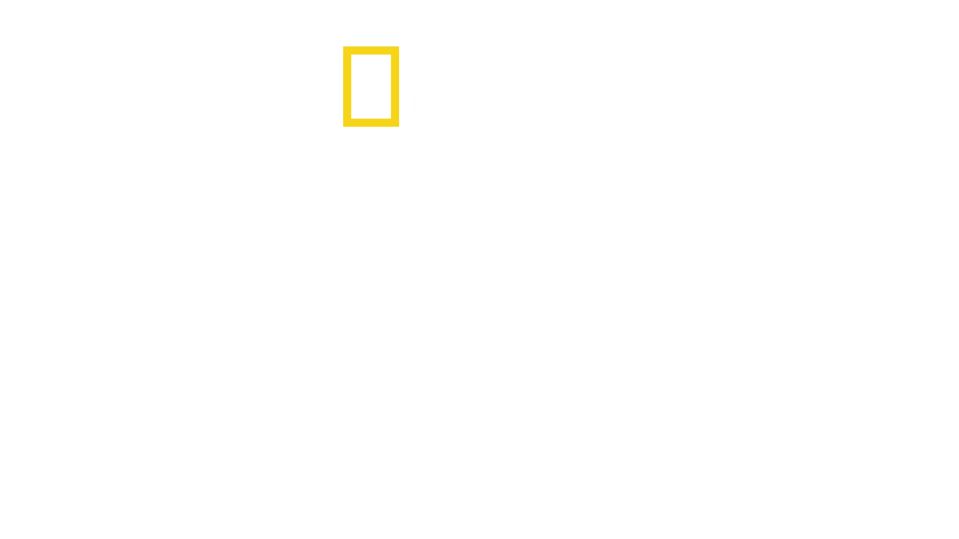 Nazistenes byggverk